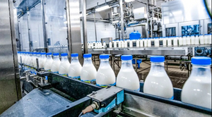Milk & Yogurt_1202_665.jpg